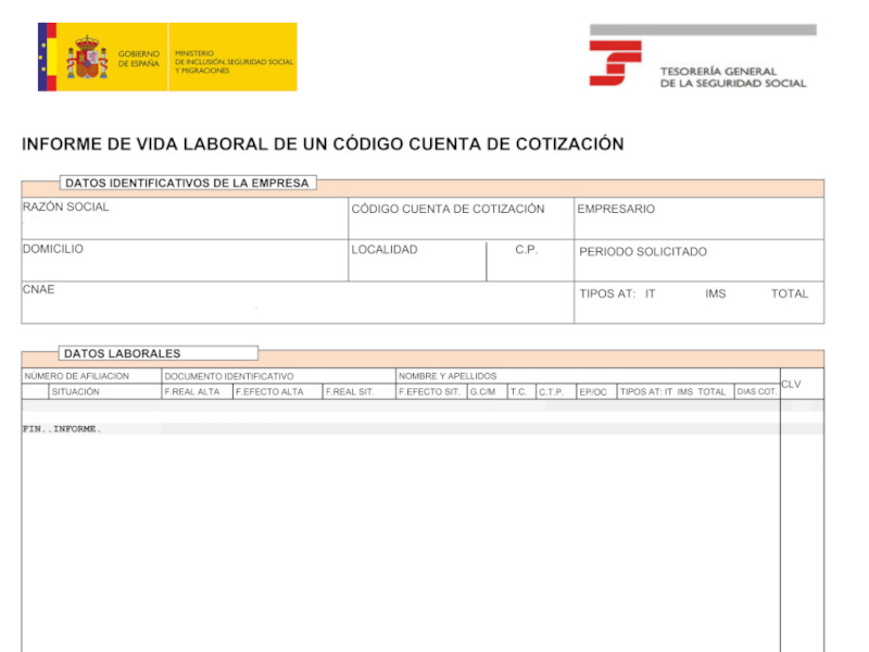 Conversor de Vida Laboral a Excel